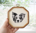 Pet Frame